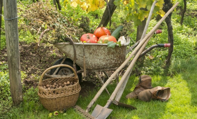 Что категорически нельзя делать в огороде осенью, чтобы не навредить будущему урожаю