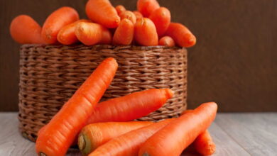 Лучшие способы хранения моркови зимой. Долго остается свежей и не гниет