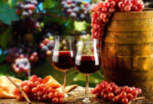 Прекрасное вино из винограда в домашних условиях. Пошаговый рецепт приготовления