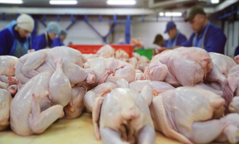Крупнейшие производители мяса курицы начали снижать оптовые цены