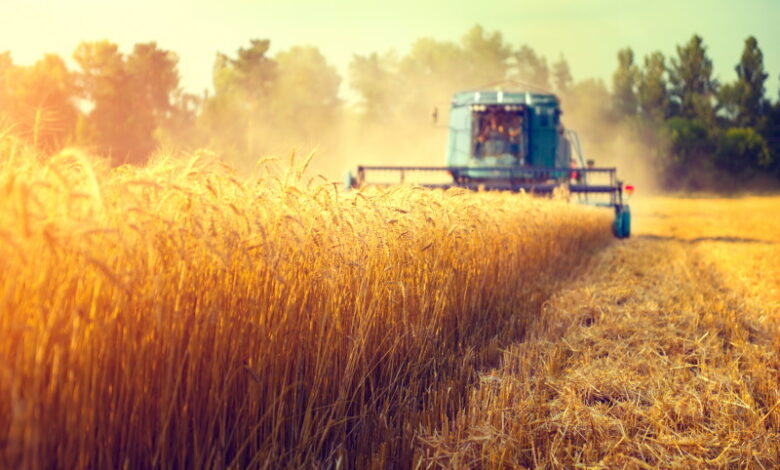 Аграрный совет: Украина потеряла 40 млрд долларов с февраля 2022 года