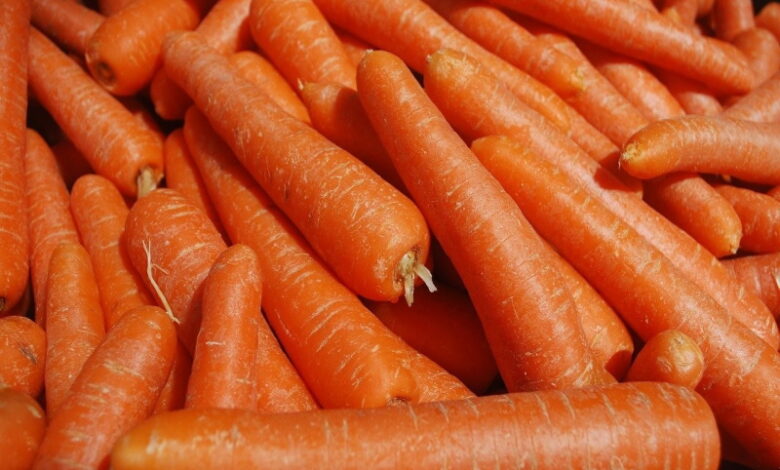 Промышленное хранение моркови