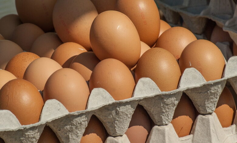 Минсельхоз прогнозирует рост производства яиц в нынешнем году