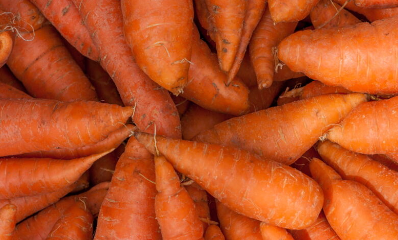 Морковь никогда не будет гнить, если ее правильно хранить