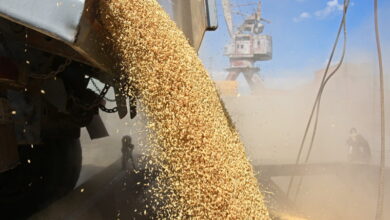 ЕС намерен ввести пошлины на импорт зерна из России и Белоруссии