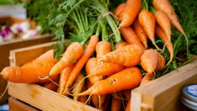 Большой урожай моркови каждый год. А все благодаря этому натуральному удобрению
