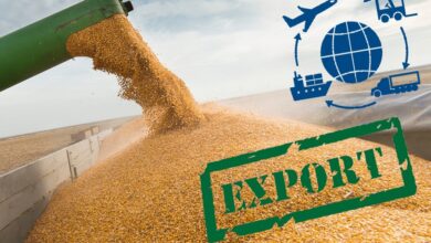 В РФ вырастет экспортная пошлина на пшеницу