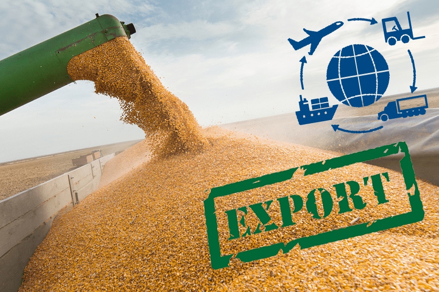В РФ вырастет экспортная пошлина на пшеницу